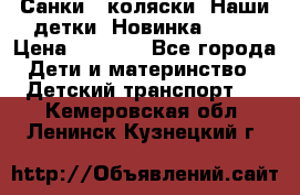 Санки - коляски “Наши детки“ Новинка 2017 › Цена ­ 4 090 - Все города Дети и материнство » Детский транспорт   . Кемеровская обл.,Ленинск-Кузнецкий г.